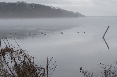 Irondequoit Bay Fog ~ West Webster NY ~ 012117 ~ taken by Liz.jpg