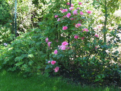 IMG_4914.jpg