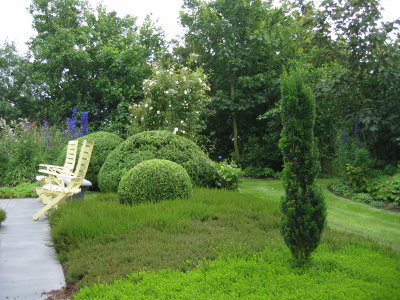 IMG_4971.jpg