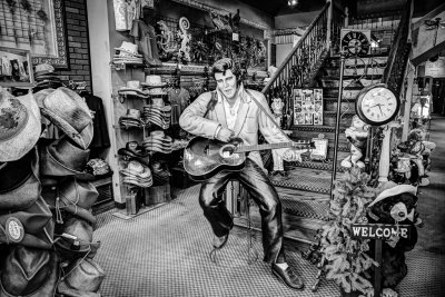 Elvis Sighting