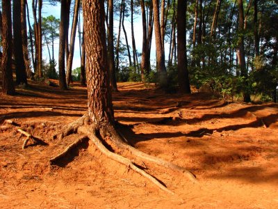 Roussillon