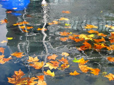 Autumn in Paris