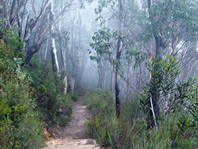 Blue Mountains 
