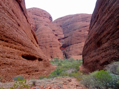 Kata Tjuta