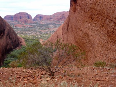 Kata Tjuta