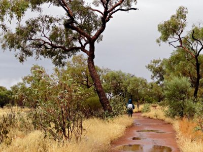 Uluru on a rainy day