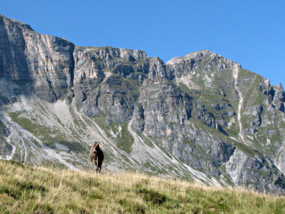 Day 2 - to Portjoch Pass (2030 m)