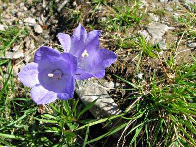 Day 2 - to Portjoch Pass (2030 m)