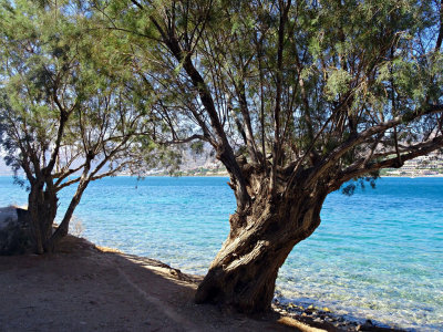 Spinalonga