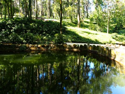 The Pena Palace Park