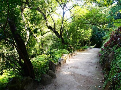 Monserrate Palace Park