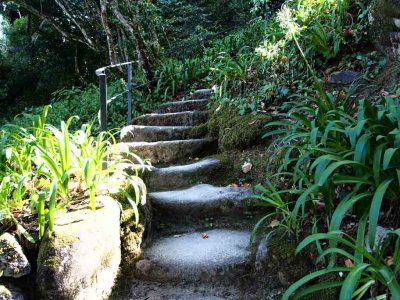 Monserrate Palace Park