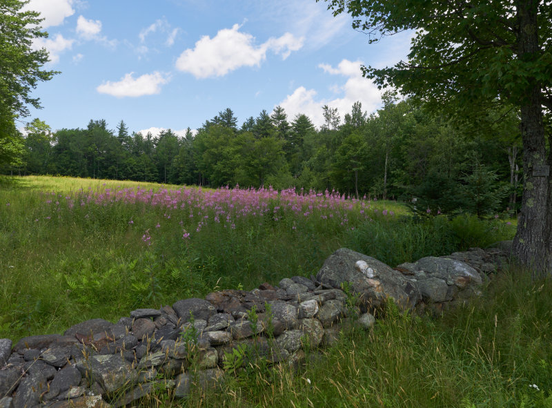 P7141847.jpg