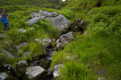 L4008929.jpg
