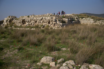L6000623.jpg
