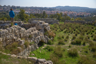 L6000581.jpg