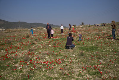 L6000604.jpg