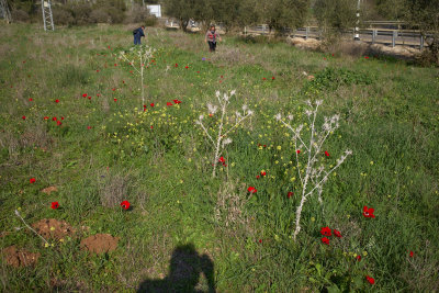 L6000648.jpg