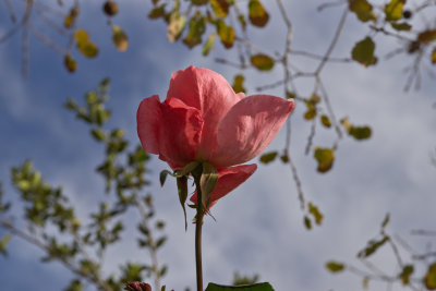 L6000698.jpg