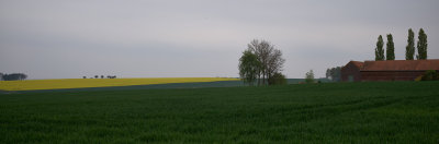 L6000958.jpg