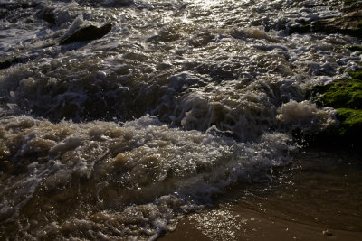 L6001069.jpg