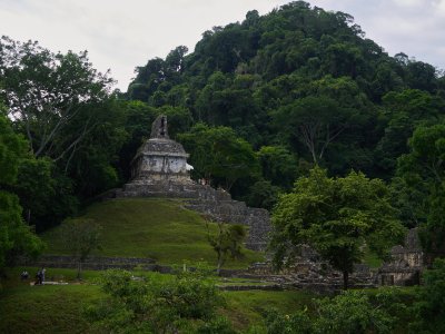 P8050741.jpg