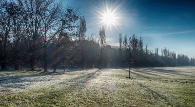 Frost in he Park