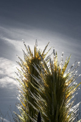 ::Chihuly at the Arboretum :: April 2009