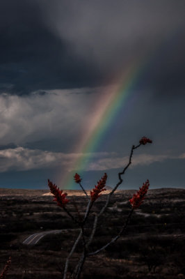 -Rainbow - Arizona - 2009
