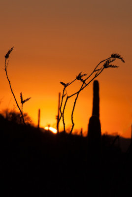 -Sunset - Arizona - 2009