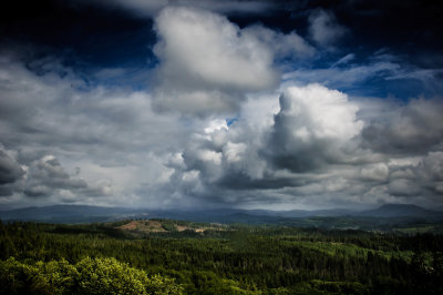 -Landscape - Pacific Northwest-June, 2009