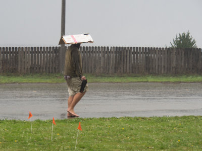 Accidental Umbrella Callifornia - December 2015