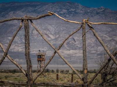 Fenced Manzanar, California - October - 2015