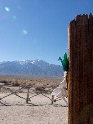 Hope... Manzanar, California - October - 2015