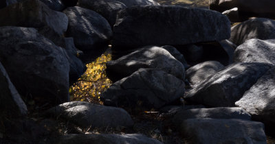 GALLERY ::Return to the Eastern Sierras - California :: October - 2015