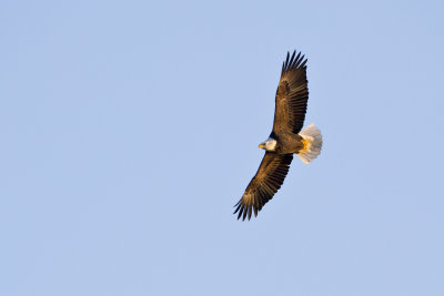 CE14_12_X0Y1488.jpg