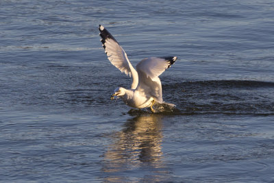 CE14_20_X0Y1576.jpg