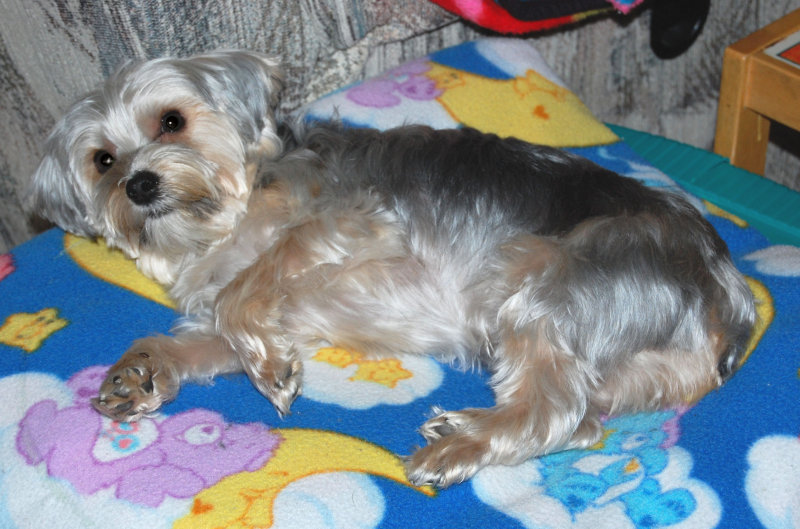 After a bath and hair cut 2.jpg