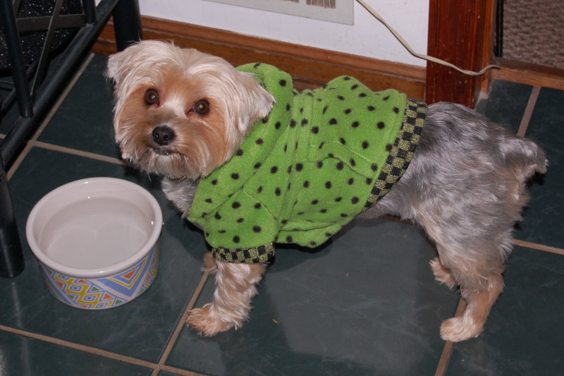 November 2011.jpg