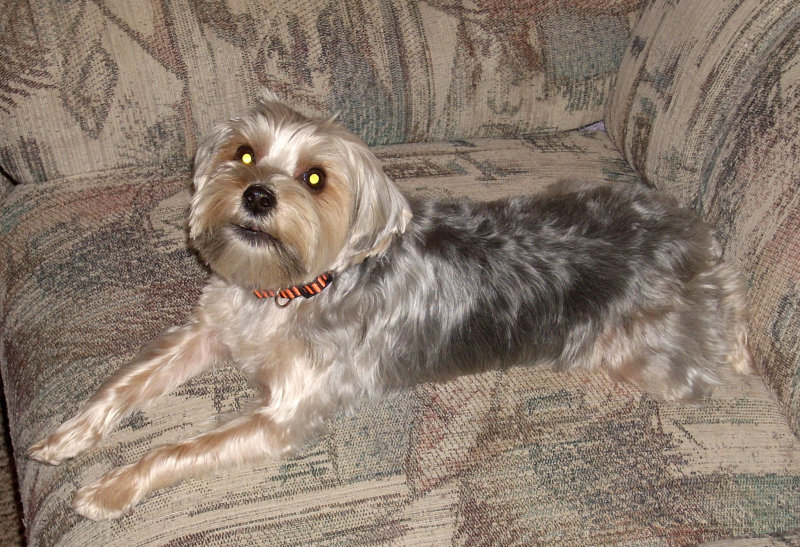 Reggie 2 Mar 2010.jpg