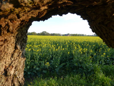 P1000842.JPG