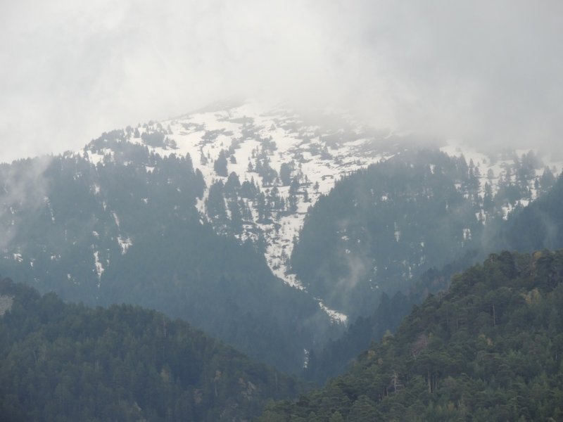 DSCN9148.JPG