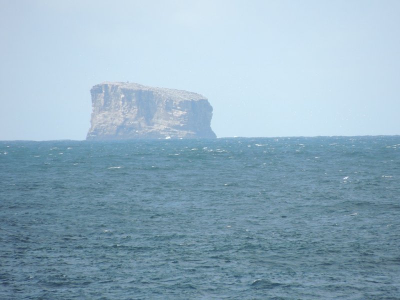  Reykjanes