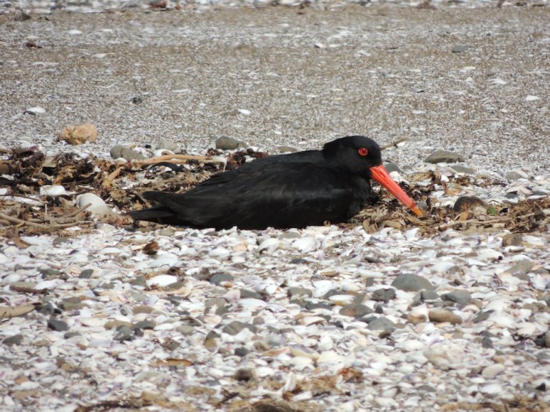 DSCN4066.JPG