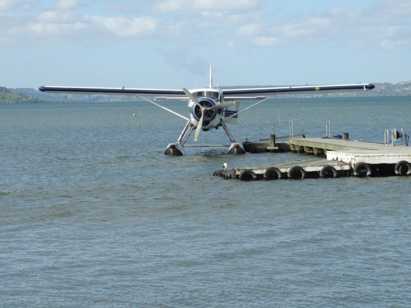 DSCN4774.JPG