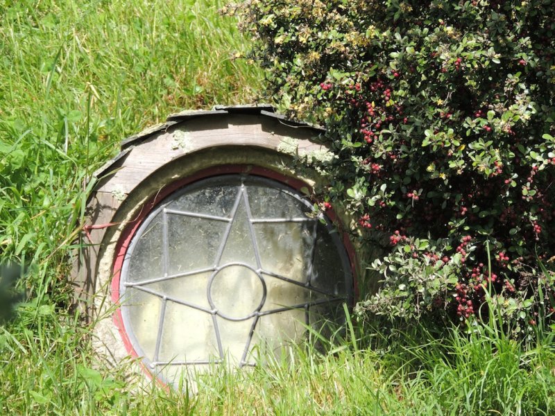 DSCN4487.JPG