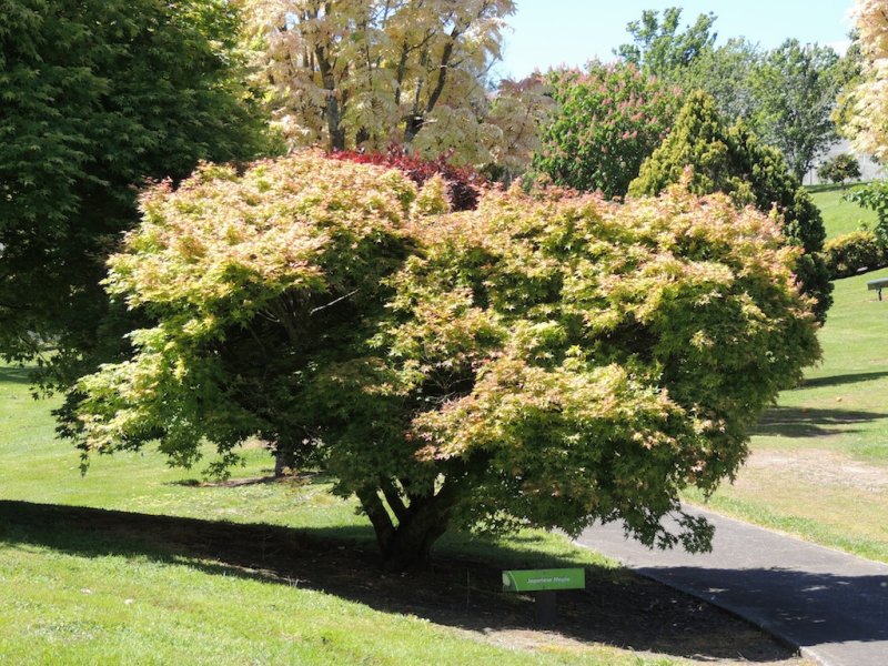 DSCN4670.JPG