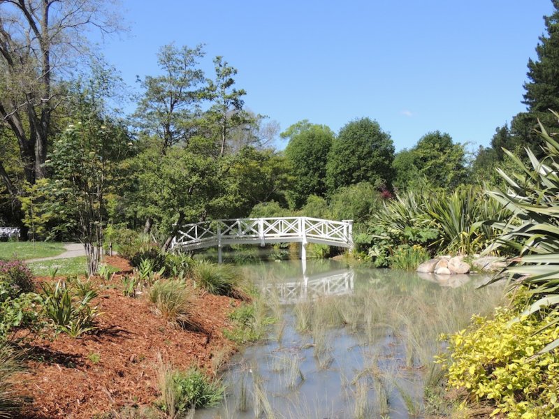 DSCN5175.JPG
