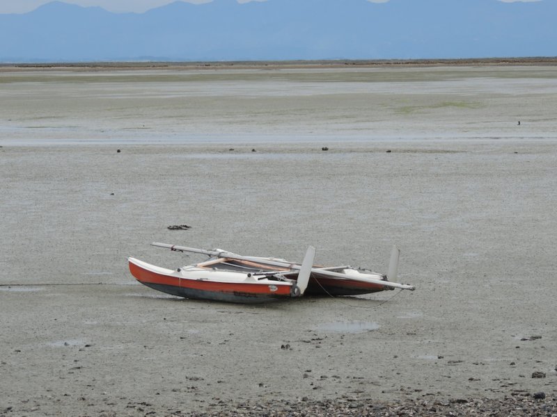 DSCN5258.JPG