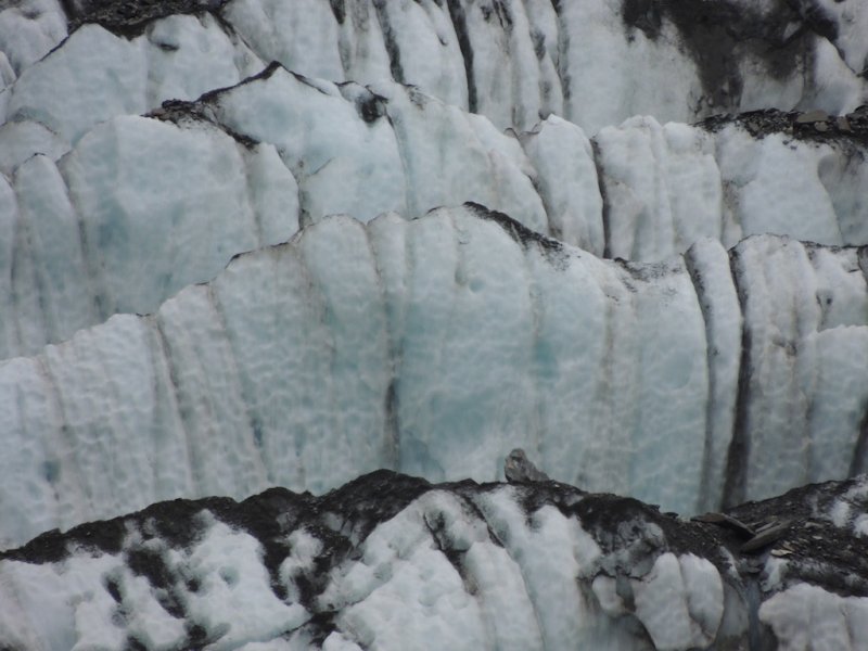 DSCN5330.JPG